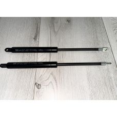 Комплект газових амортизаторів 450N (2 шт)